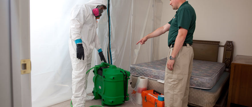Boise, ID mold removal process